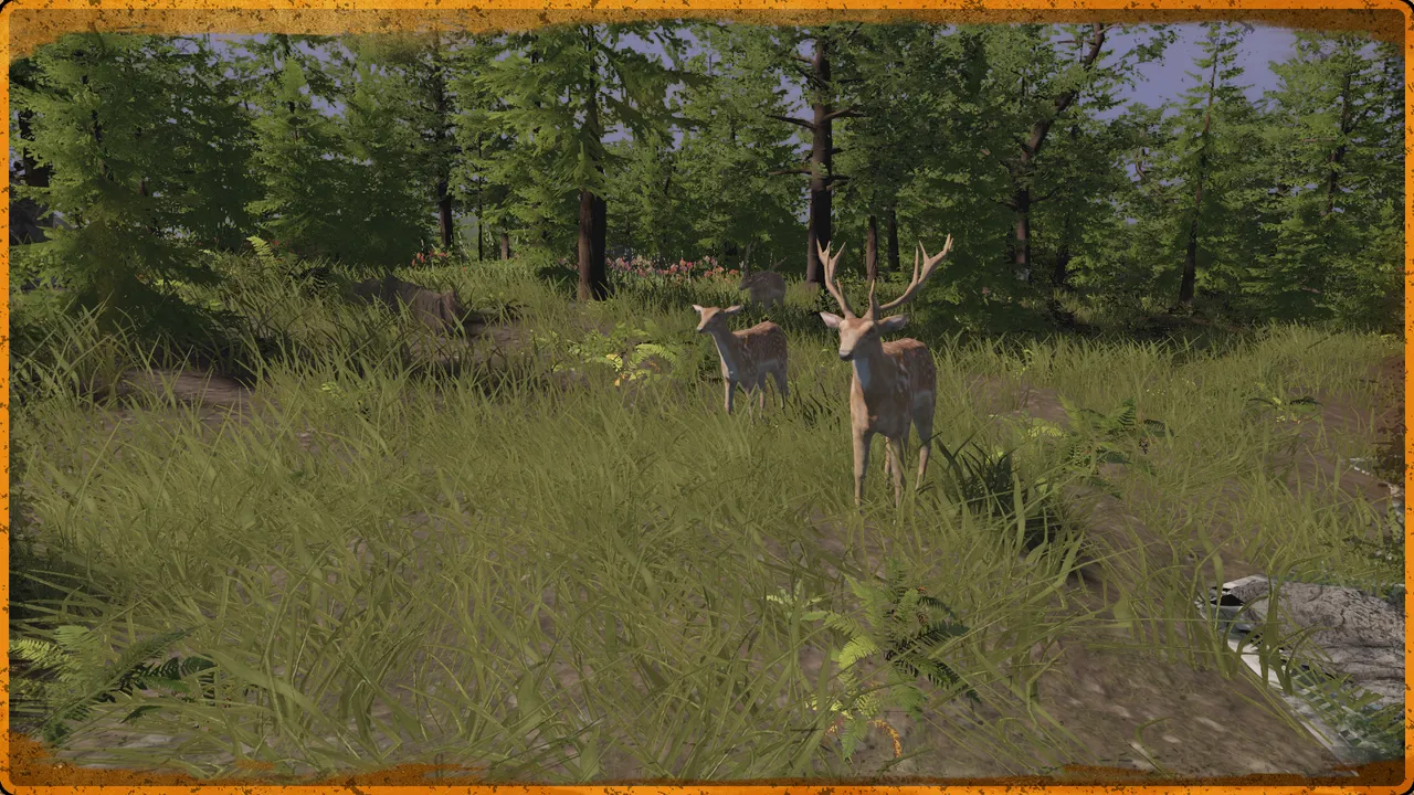 Two deer standing in tall grass at the edge of a forest